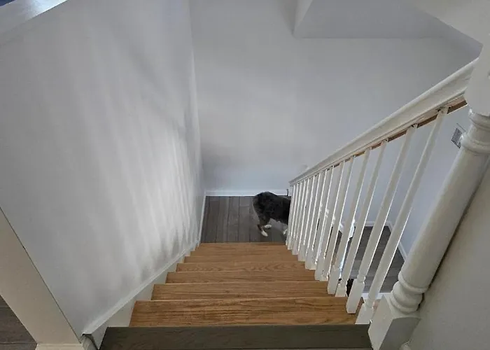 Beautifully Renovated 3-Bedroom Guest Stay